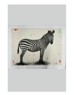 David Morago Zebra 87 x 112 cm