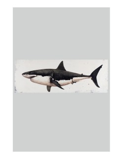 David Morago White Shark, 2020 121 x 292 cm